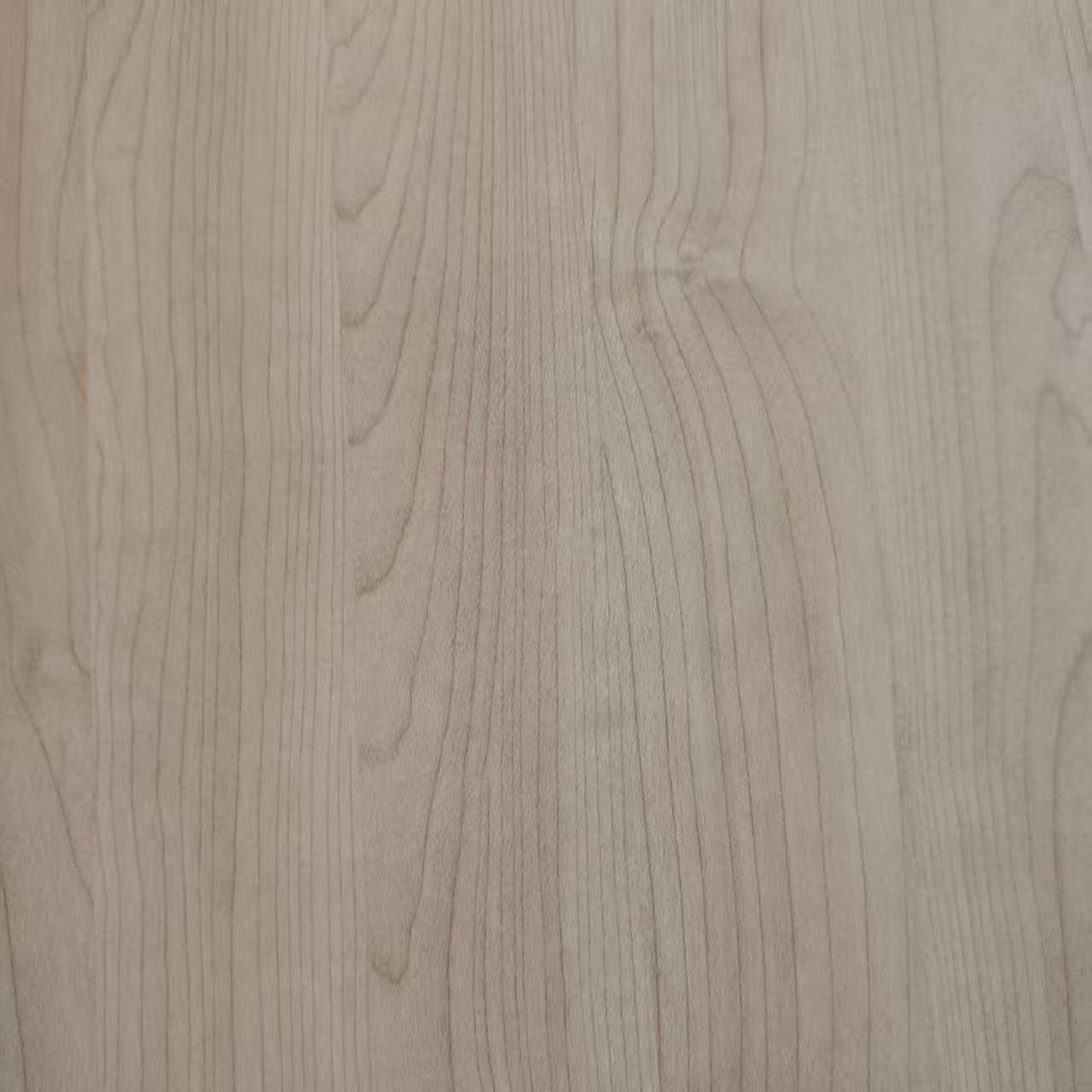 Melamine Paper8031-10