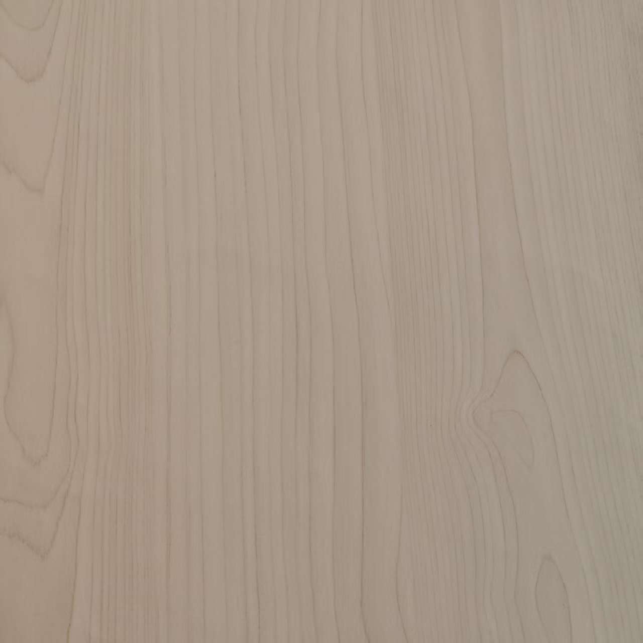 Melamine Paper8009-2